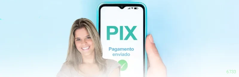 Formulário registro 6733